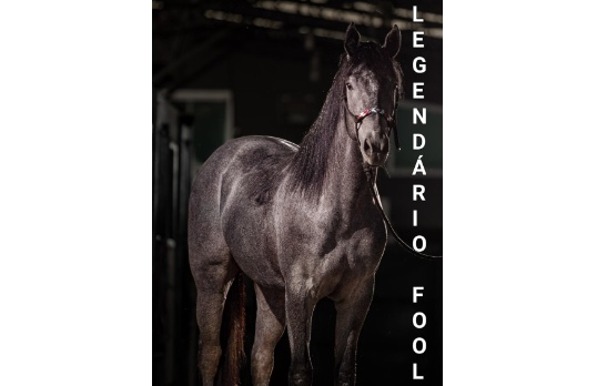 LEGENDARIO FOOL